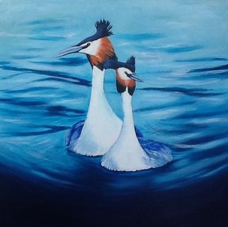 Kees Van Eyck; Amore Acqua Dolce, 2017, Original Painting Acrylic, 54 x 54 cm. Artwork description: 241 a couple of great crested grebes...