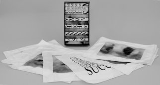 Tatana Kellner; Bushspeak, 2003, Original Printmaking Serigraph, 12 x 12 inches. Artwork description: 241  A set of 12 handkerchiefs for weeping or display that includes such memorable phrases as 