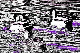 Ken Lerner; Ducks In The Boat Pond 1a5b, 2022, Original Photography Color, 30 x 19.9 inches. Artwork description: 241 Ducks in the Boat Pond 1a5b is a view of a duck family swimming in the Boat Pond in Central Park in NYC. This is a limited edition print number 1 of 3, signed, numbered, and dated upon purchasePlease note - due to Covid- 19 limitations still ...