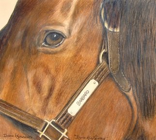 Diane Kopczeski; Dyna King, 2011, Original Drawing Pencil, 14 x 16 inches. Artwork description: 241           Colored pencil drawing, done from your photo.          ...