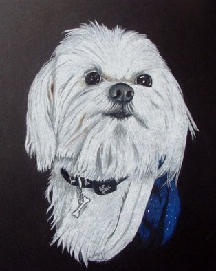 Diane Kopczeski; Mikey, 2010, Original Drawing Pencil, 18 x 20 inches. Artwork description: 241         Colored pencil drawing, done from your photo.        ...