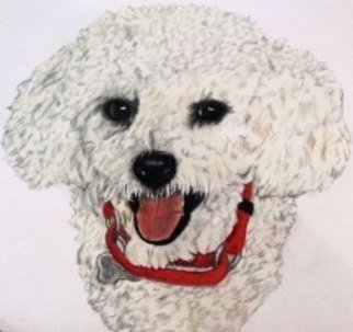 Diane Kopczeski; Riley, 2011, Original Drawing Pencil, 18 x 20 inches. Artwork description: 241          Colored pencil drawing, done from your photo.         ...