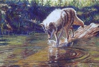 Kay Ridge; Wolf Quest, 1998, Original Reproduction, 24 x 19 inches. Artwork description: 241 The wolf in this painting is on a protected reserve and provided me with a resource to paint a different perspective than is usually depicted of wolves. A fish has just surfaced and he is curious and very dog- like in his posture of this painting.   ...