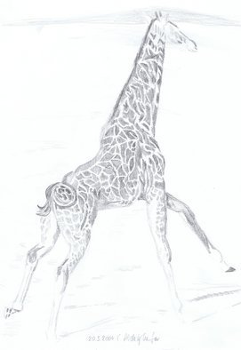 Claudia Luethi Alias Abdelghafar; Giraffe, 2004, Original Drawing Other, 297 x 420 mm. Artwork description: 241 A giraffe in canter, running away, what a dynamic is here Drawing with pencil on DIN A3 paper...