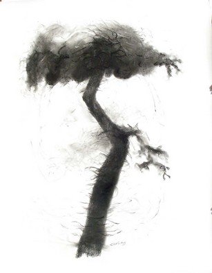 Lalit Pant; Nature, 2008, Original Drawing Charcoal, 4 x 5 feet. Artwork description: 241  it's a nature ...