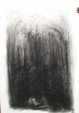 Lalit Pant; Nature2, 2008, Original Drawing Charcoal, 2 x 3 feet. Artwork description: 241  it's a nature ...