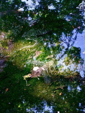 Luise Andersen, 'Between Here And Tomorrow...', 2012, original Photography Color, 22 x 31  x 1 inches. Artwork description: 46659      . . REFLECTIONS IN WATER PUDDLE ON BASEBALL COURT AT PARK SEVILLE. . . . series* * size for uploading purpose only     ...