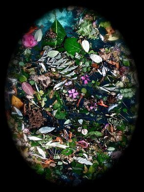 Luise Andersen, 'Enchantment  Afloat X Oct...', 2012, original Photography Color, 22 x 31  x 1 inches. Artwork description: 45867 . . . looking at this beautiful image. . . I felt the positive energies, Nature had placed. . the for me aware of every day' renewal' of life. . and form. . specially  to me, symbolic of' core' . . each color. . shape. . light in dark. .water. . air. . reflecting the sky. . Earth. . Trees. . Desire, to' hold' ...