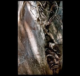 Luise Andersen, 'Fragments Of Within II SE...', 2012, original Photography Color, 29 x 31  x 1 inches. Artwork description: 47451    . . . . . created image from original color photograph of Queen Palm trunk detail.Pulled forwards by elimination . . . color choices. . lines. . forms alter. . created in a way that the Nature of this image is always 'present' . .. . only now. . part of me too. . hmmm. . come to think of it. . am anyways. . .* * ...