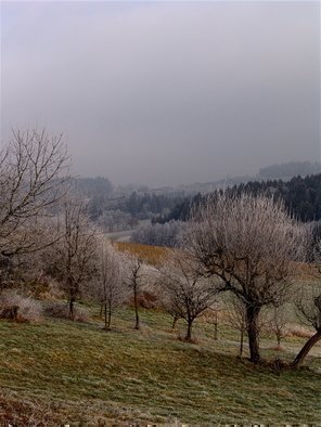 Luise Andersen, June 4 2018 detail 2 phase ..., 2007, Original Photography Other, size_width{GERMAN_Travels__Passau_Area____Orchard_In_Winter-1169694553.jpg} X 8 inches