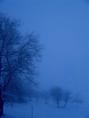 Luise Andersen, 'GERMAN WINTER  Passau Are...', 2007, original Photography Other, 9 x 11  inches. 