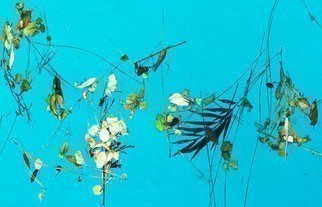 Luise Andersen, 'Little People I', 2011, original Photography Color, 17 x 19  x 1 inches. Artwork description: 54183  . . Winds blew them in. . blossoms. . leaves. . needles. . twigs. . all form delightful arrangements on waters surface. .constantly moving. . creating anew. .My 'eye' just happens to' see' them. . and capture their charm. . beauty. . textures. . hues. . forms. .Let Yourself get entranced. . . by enchanting images on water surface of Pauline and ...
