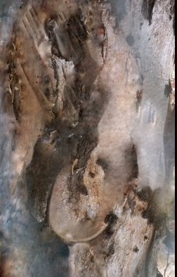 Luise Andersen, 'MIG LNS I Mignon Extreme ', 2012, original Digital Other, 17 x 23  x 1 inches. Artwork description: 51015  started to work on another original photograph I took from Eucalyptus tree bark. . . all the images. . bit involved. . and hues . . the way I wish them to 'appear' . . often do not. . so. . after 6 hrs. work. . I leave it alone a while. . guess. . when I will not pull ...