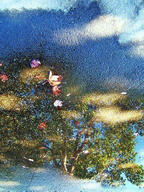 Luise Andersen, 'Morning Walk II', 2011, original Photography Other, 23 x 26  x 2 inches. Artwork description: 54579   The wonders of the World In Reflections. . when you can touch. . the sky. . and' feel' the creeks. . lakes and seas. . . rock formations. . trees. . sometimes, when I forget myself. . even find myself amongst Natures Mirrored Images when in intense bonding with image I lean/ or move due to ...