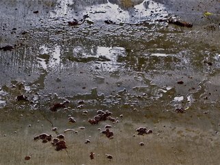 Luise Andersen, 'Rain Falling V MaySixTwoO...', 2012, original Photography Color, 30 x 19  x 1 inches. Artwork description: 50223     . . from Parking Lot RainPuddle Series. . this area is more of cement beneath all the rain water and natural debris. . as well as from the debris left by humans. . love the light. . reflections. . textures are incredible. . smooth surfaces like glass. . mirrors. . and yes. . the colors. . constantly changing with ...
