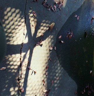 Luise Andersen, 'Reflections In The Afternoon I', 2011, original Photography Color, 18 x 23  x 1 inches. Artwork description: 56955 Maybe I will name one of this series' Glimpses In The Afternoon' . . gheesh. . My mind. . never' rests' . . and the full moon. . does the' rest' . . - - . . my description did not take. . so. . will re energize and try to recollect in a while. . . . these are colored photographs. . captured images from/ ...