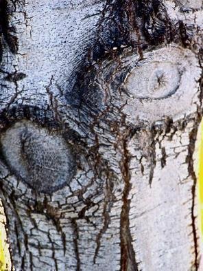Luise Andersen, 'Through  Eyes Of Mignon T...', 2013, original Photography Other, 23 x 21  x 2 inches. Artwork description: 41907    . . . on my way back to where i live. . this still relative small tree called me. . have taken pix of her trunk before. . when she was even smaller than now. . but. . she had grown. . and developed a wider trunk. . circumference. . textures. . and colors. . figures and faces. . and sensual ...