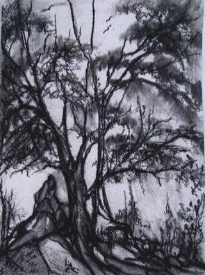 Luise Andersen, June 4 2018 detail 2 phase ..., 2006, Original Drawing Charcoal, size_width{_LIGHT_OF_FLIGHT-1140237944.jpg} X 15 inches
