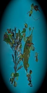 Luise Andersen, 'From Series Enchantments ...', 2013, original Photography Color, 17 x 19  x 2 inches. Artwork description: 41907 I took most of the debris of dust particles out. . so not distract from the composited image. . some color prisms in water, or shadows, the leaves etc. leave in some areas on water surface, i left in picture. . . . might take out at later point. . . . i have uncountable ...