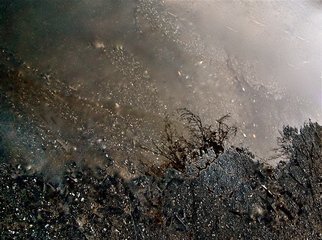 Luise Andersen, 'Untitled MIG RSP IV', 2013, original Photography Other, 26 x 24  x 1 inches. Artwork description: 32403    . . edited original photograph after rain.* * size for uploading purpose only.  ...