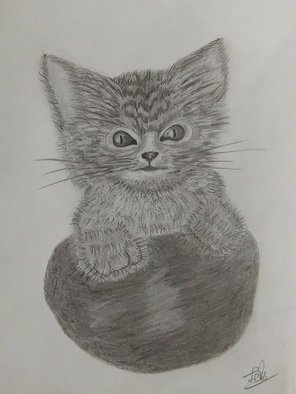 Lekshmy Sathi; Furry Kitten, 2020, Original Drawing Pencil, 18 x 25 cm. Artwork description: 241 Difficult to make furry effect. ...