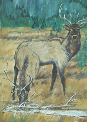 Lenore Schenk; Elks, 1977, Original Painting Acrylic, 12 x 16 inches. Artwork description: 241  Paint of Elks in the wilds.                    ...