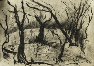 Andreas Loeschner Gornau, 'Trees In South Germany', 2014, original Drawing Charcoal, 53 x 35  cm. Artwork description: 2103   landscape charcoal on paper / 50x35cm/ by andreas loeschner- gornau 2014  ...