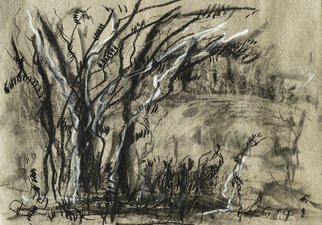 Andreas Loeschner Gornau, 'Trees In South Germany', 2014, original Drawing Charcoal, 53 x 35  cm. Artwork description: 2103  landscape charcoal, chalk on paper / 50x35cm/ by andreas loeschner- gornau 2014  ...