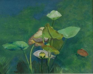 Lorrie Williamson; The Bonnet Lily, 2004, Original Painting Oil, 20 x 16 inches. Artwork description: 241  The Bonnet House Series.  The yellow bonnet lily gave the Bonnet House its name.  It grows in the fresh water lagoon behind the mansion. ...