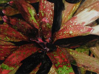 Laurie Pagels; Exotic, 2004, Original Watercolor, 13 x 10 inches. Artwork description: 241 2007 North East Watercolor Societies 31st International Art Competition.2004 18th Annual Arts for the Parks Mini 100 Finalist.Bromeliad - ( Neoregelia) red, green, white, dark, light ...