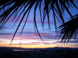 Laurie Delaney; Summer Nights, 2011, Original Photography Color, 10 x 8 inches. Artwork description: 241 Palm tree, sunset, Arizona, sunset silhouette.   ...