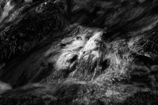 Bernhard Luettmer; SCHWARZES WASSER IV, 2010, Original Photography Black and White, 70 x 100 cm. Artwork description: 241                      Landscape in Tuscany/ Landscape, italy, tuscany, morning, totady, tree,                     ...
