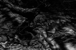 Bernhard Luettmer; SCHWARZES WASSER VI, 2010, Original Photography Black and White, 70 x 100 cm. Artwork description: 241                        Landscape in Tuscany/ Landscape, italy, tuscany, morning, totady, tree,                       ...