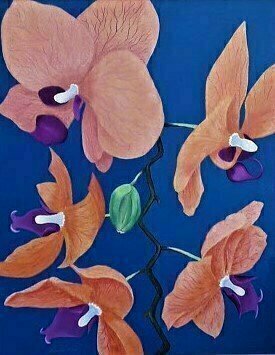 Lora Vannoord; Five Orchids, 2020, Original Painting Oil, 16 x 20 inches. Artwork description: 241 Original oil painting of my friend s Orchids...