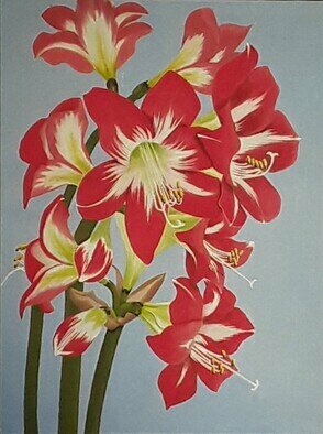 Lora Vannoord; Amaryllis Flowers, 2023, Original Painting Oil, 18 x 22 inches. Artwork description: 241 Original oil painting on linen canvas board of some Amaryllis Flowers from my garden in Florida. ...