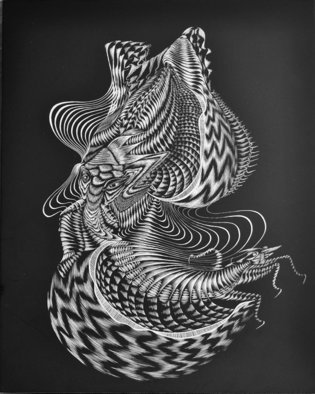 Lyudmila Kogan; Metamorphosis, 2010, Original Drawing Other, 8 x 10 inches. Artwork description: 241  Scratchboard art ...
