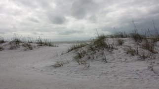 Jerry Schole; Coquina Dunes, 2018, Original Photography Color, 10 x 8 inches. Artwork description: 241 Photo is of some of the sand dunes on Coquina Beach in Florida. Dunes are important to nesting sea birds, turtles and first line of defense from tropical storm surge. ...