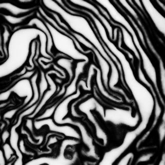 Jaromir Hron; The Maze, 2010, Original Photography Black and White, 700 x 700 mm. Artwork description: 241  abstract, square, monochrome, black& white    ...