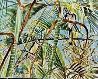 Mary Jean Mailloux; Magpie Mates, 2021, Original Watercolor, 10 x 8 inches. Artwork description: 241 Evening ritual for magpies in the tropics.  High in the palm trees, doing their courting. ...