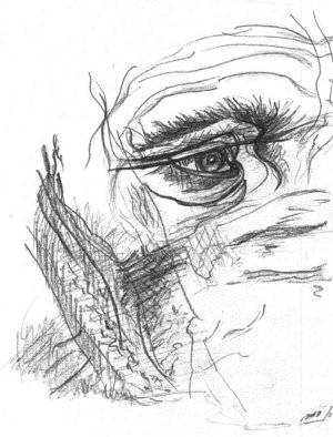 Mariela Rios; Te Miro, 2011, Original Drawing Pencil, 20 x 35 cm. Artwork description: 241                   drawing pencil look ...