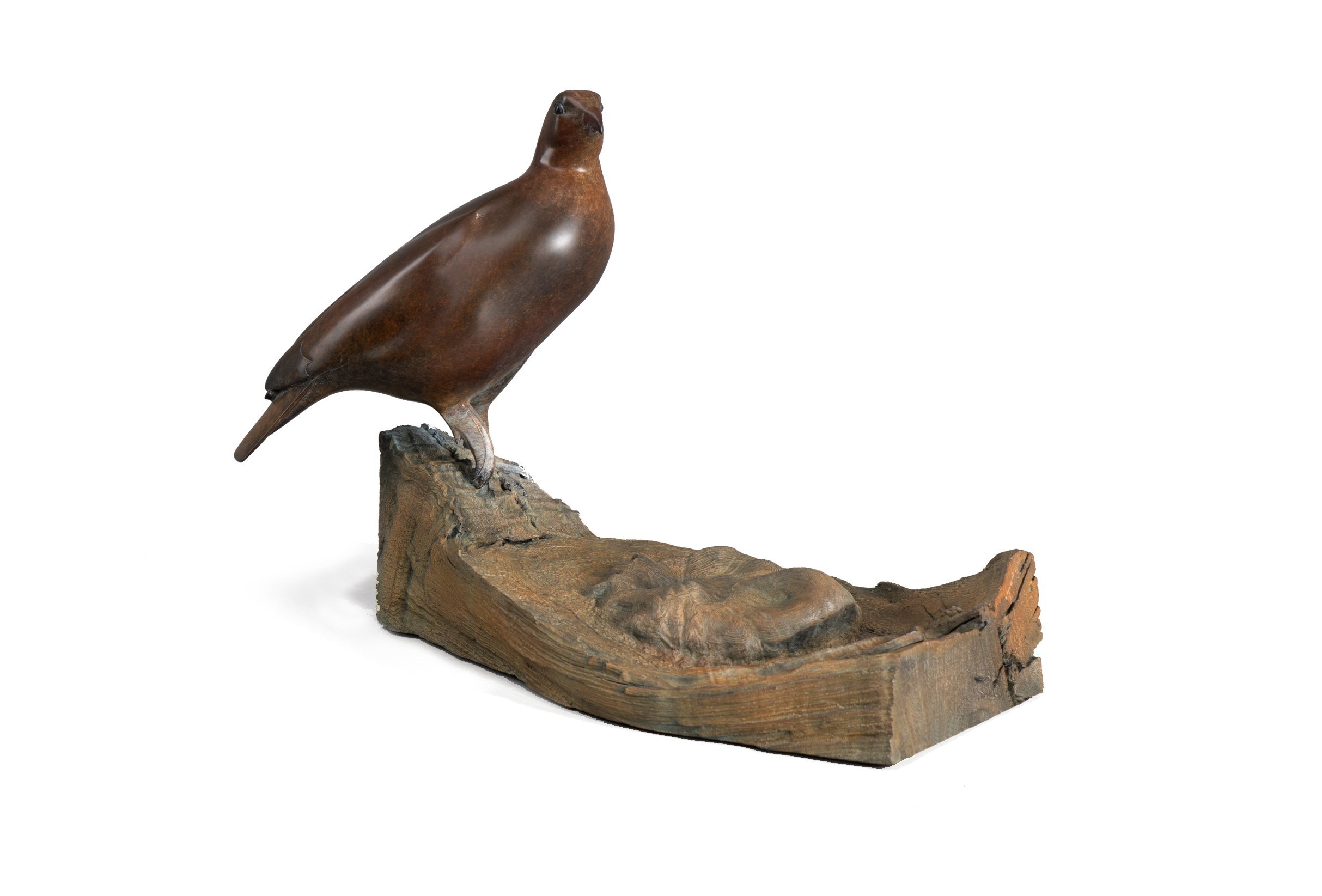 Mark Dedrie; Grouse  , 2019, Original Sculpture Bronze, 19 x 13 inches. Artwork description: 241 famous grouse, Selected for the 59th editionof Art and The Animal at the Briscoe Western Art Museum...