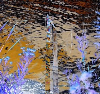 Mark Raynes Roberts; Flowerspire, 2011, Original Photography Other, 40 x 30 inches. Artwork description: 241 Glasslands Collection ...