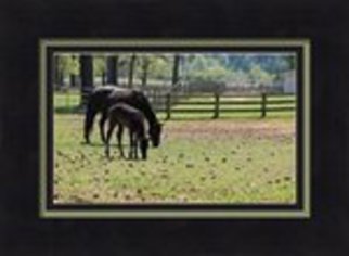 Mary Goodreau; Mare And Foal, 2014, Original Digital Print, 20.2 x 15 inches. Artwork description: 241  Mama and her baby. Perfect scene and lovely image of these fine animals. They were in a pasture and it was just beautiful to see. ...