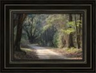 Mary Goodreau; Sleepy Hollow, 2014, Original Digital Art, 28 x 21.4 inches. Artwork description: 241  Shadowy dirt road through a forest. Very reminiscent of Sleepy Hollow. The trees frame the scene very well.   ...