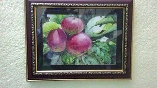 Mintu Maji; Apple, 2009, Original Watercolor, 10 x 8 inches. Artwork description: 241 branch of apple...