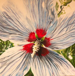 Melissa Burgher; Habiscus, 2012, Original Painting Acrylic, 35 x 35 inches. Artwork description: 241  # flowers # flower # floral # amazingart # painting    ...