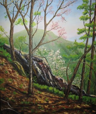 Michael Navascues; Blue Ridge Mountains In S..., 2010, Original Painting Oil, 16 x 20 inches. Artwork description: 241    Rocky ridge with trees budding and mountains in distance. Oil on canvas on wood frame.  ...