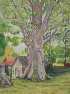 Michael Navascues; Great Oak, 2009, Original Watercolor, 18 x 24 inches. Artwork description: 241   Ancient oak tree in North Carolina ...