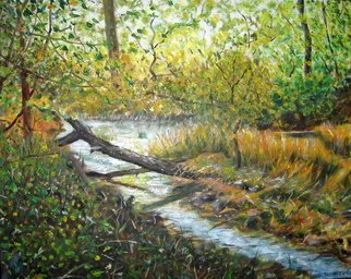 Michael Navascues; Hidden Source, 2010, Original Painting Oil, 16 x 20 inches. Artwork description: 241  Pond and stream in woods. Oil on canvas stretched on wood frame.  ...