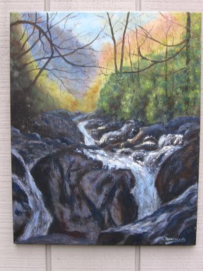 Michael Navascues; Ravine, 2013, Original Painting Oil, 16 x 20 inches. Artwork description: 241    Water rushing down ravine in Blue Ridge Mountains ...